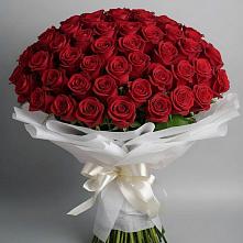 Букет 101 Красная роза Блэк Мэджик в Михайлове