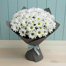 Букет цветов из:  Хризантемы #REPLACE_PRED# Михайлове