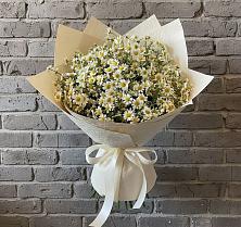 Букет цветов из:  Ромашки в Михайлове