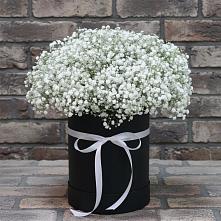 Цветочная композиция из Гипсофила в шляпной коробке #REPLACE_PRED# Михайлове