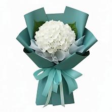 Букет цветов из:  Гортензия в Михайлове